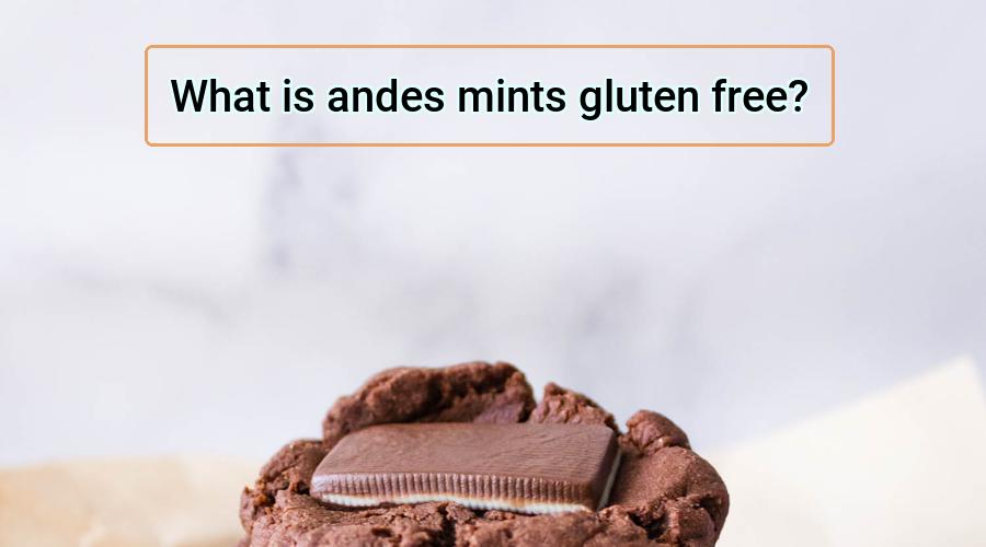 andes-mints-gluten-free-all-you-need-to-know